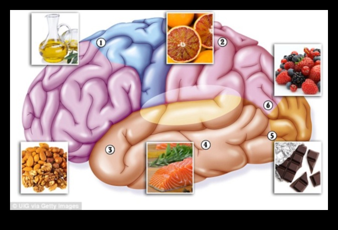 Beneficiile dietelor cu conținut scăzut de grăsimi pentru sănătatea creierului